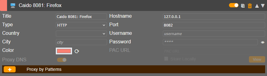 FoxyProxy configuration for port 8081.