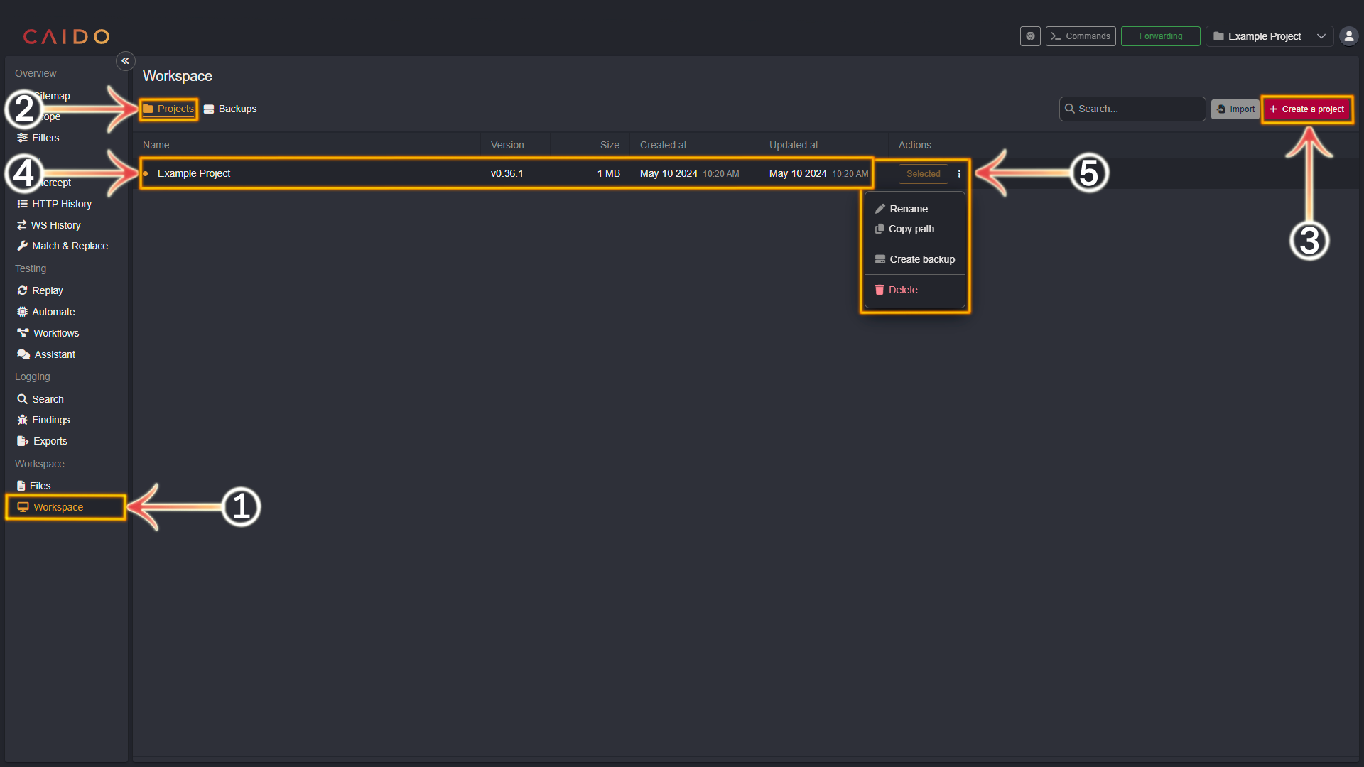 Projects interface.