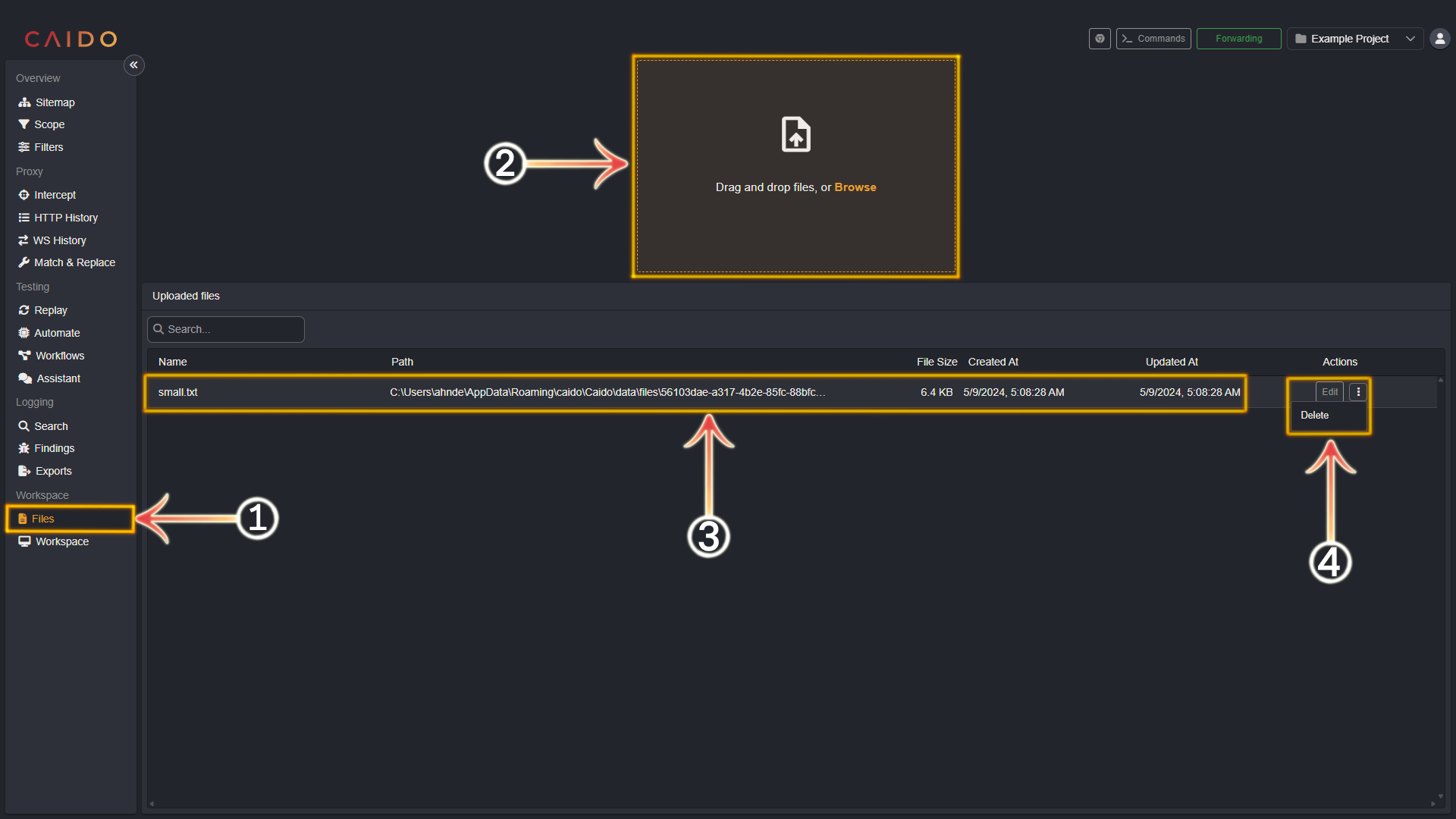 Files interface.