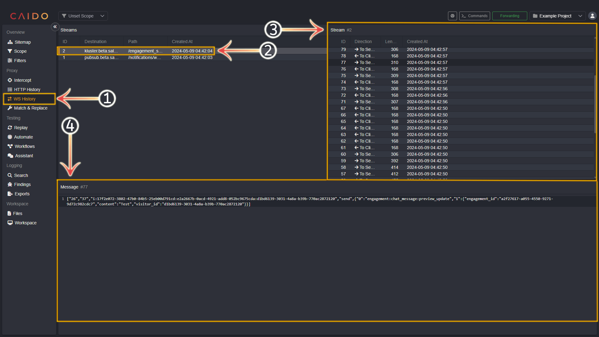 WS History interface.
